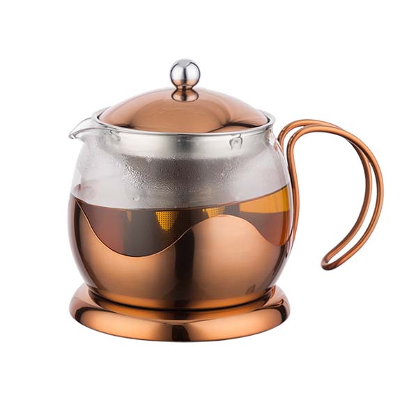 700mL Glass Kettle with Removable Stainless Steel Infuser