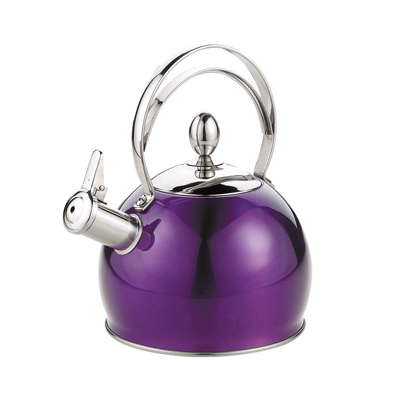 2400ml Stainless Steel Stove Top Kettle with Metal Capsule Bottom