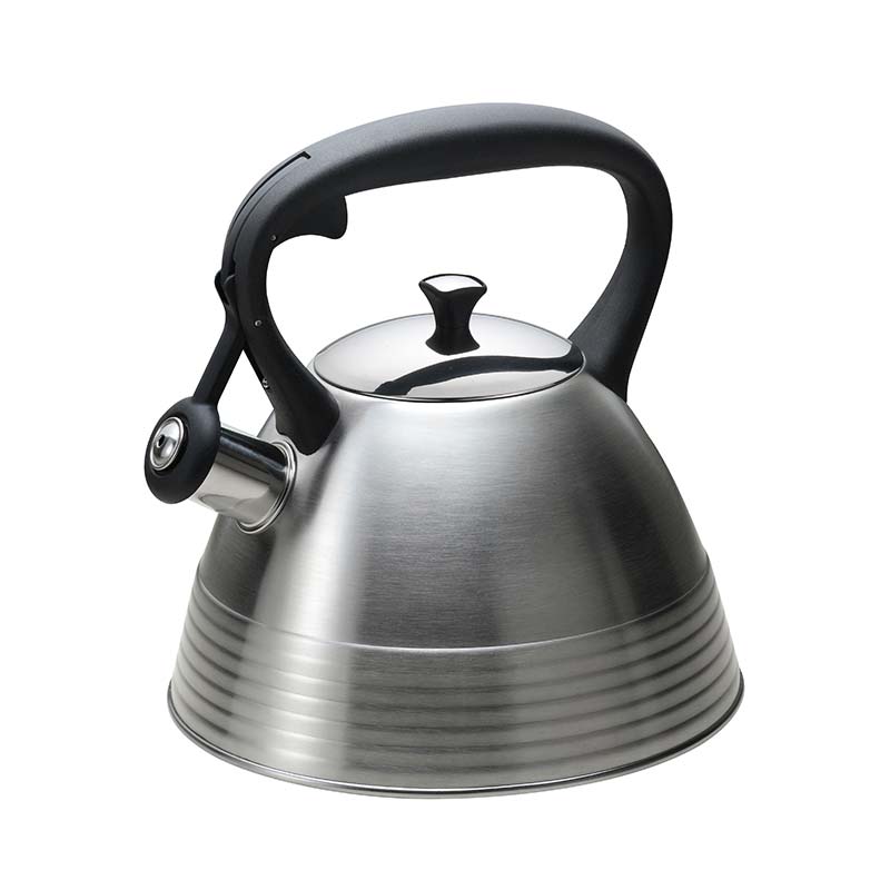 3L Whistling Stovetop Bollitore per tè con fondo della capsula in metallo