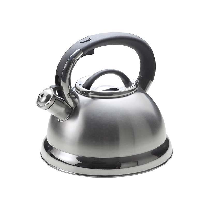 2.9L Aşağısız Steel Stove Top Kettle Metal Capsule Bottom