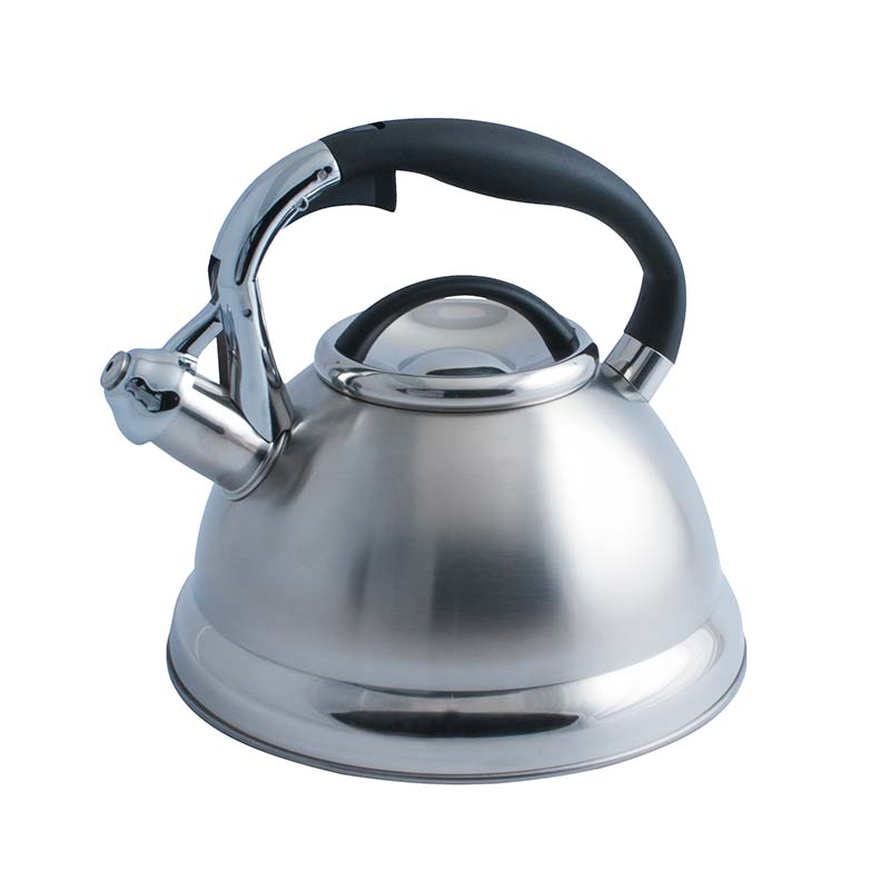 Stainless Steel Stove Top Kettle with Metal Capsule Bottom