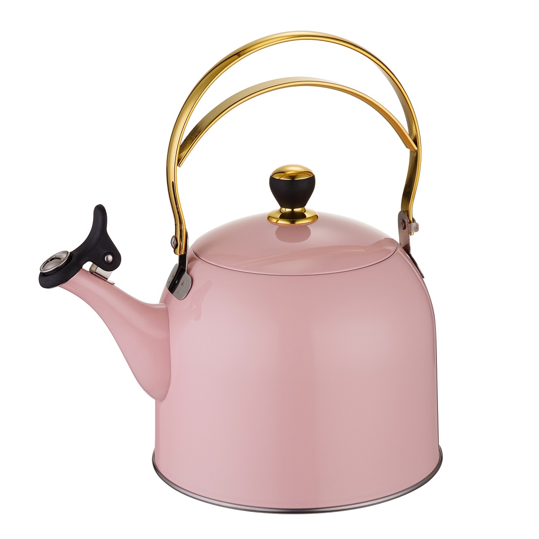 Stainless Steel Tea kettle for Stove Top Loud Whistle