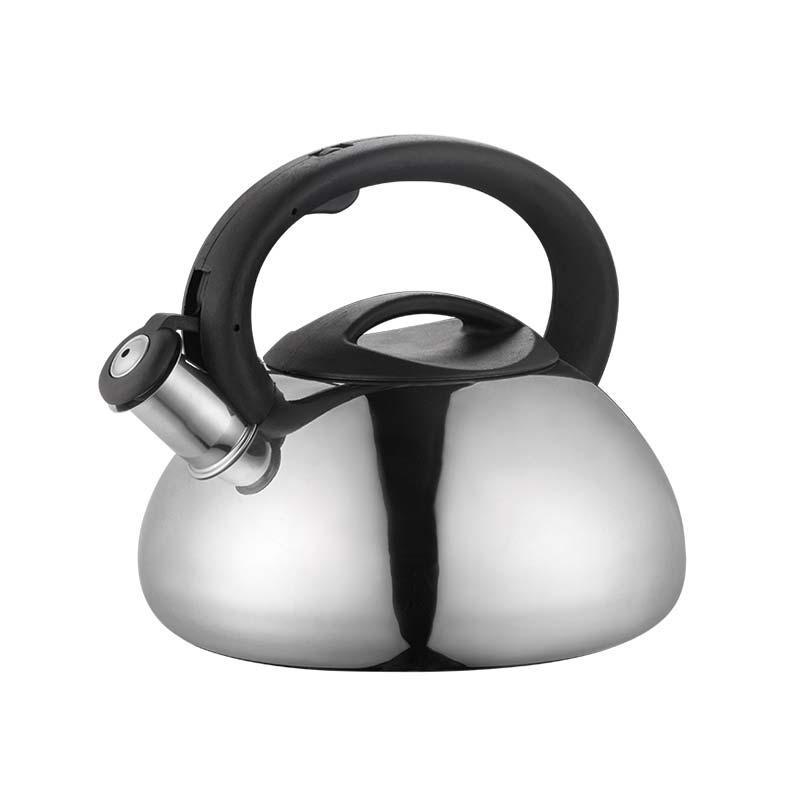 stainless whistling tea kettle