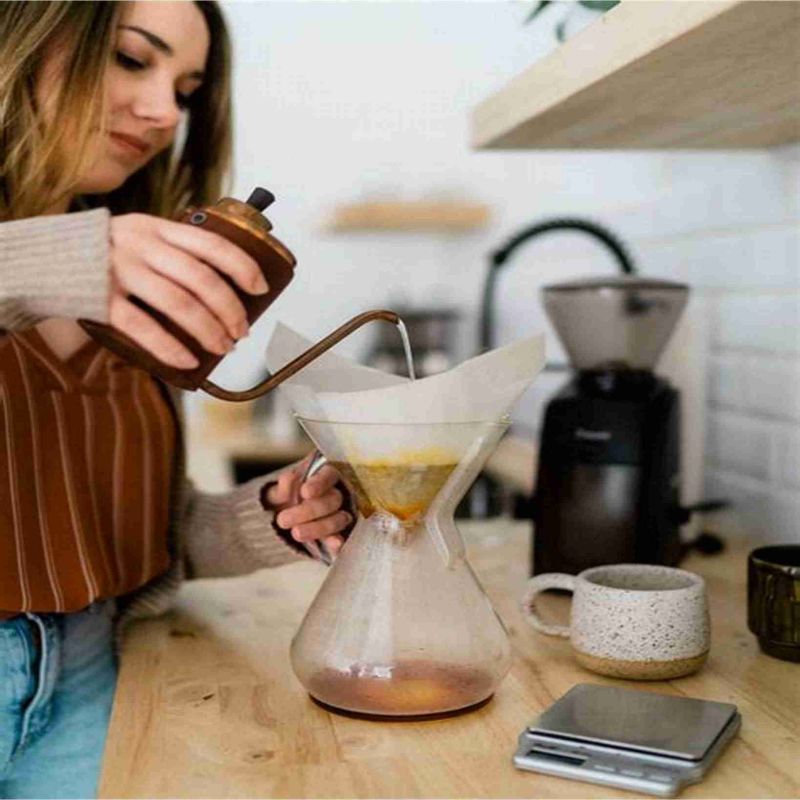 600ml Stainless Steel Drip Coffee Maker Kettle
